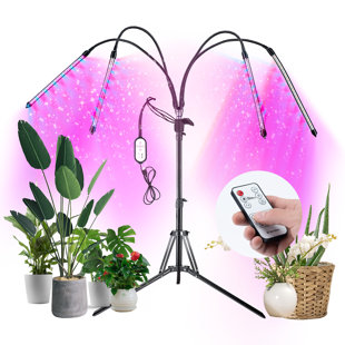 Innova Led Grow Light System Wayfair Canada